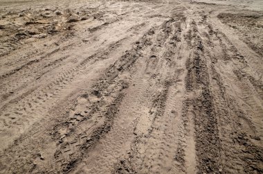 Bledowska çöl Polonya