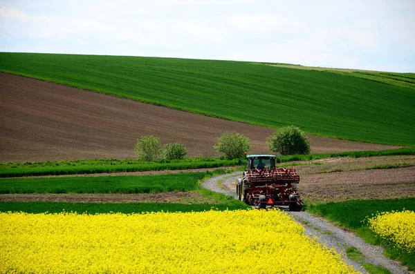 Campo Cultivado Con Tractor Camino Tierra —  Fotos de Stock