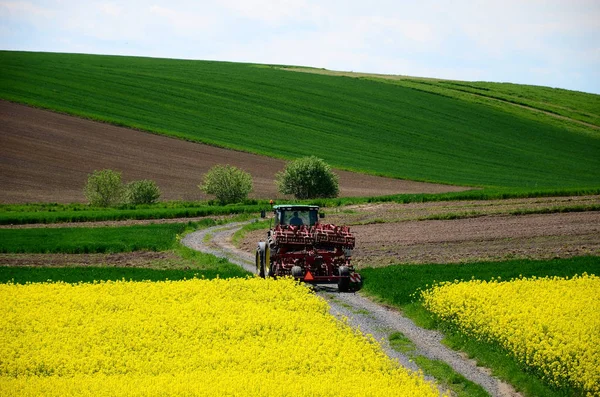 Campo Cultivado Con Tractor Camino Tierra —  Fotos de Stock