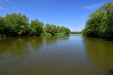 Silesia, Polonya bölgesinde Oder Nehri