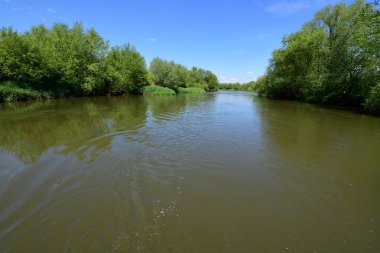 Silesia, Polonya bölgesinde Oder Nehri