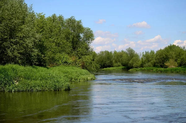 Fluss Oder Schlesien Polen — Stockfoto