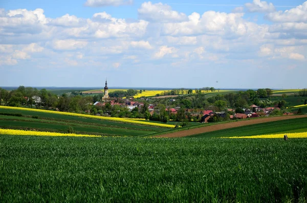 Letní Krajina Slezsko Polsko — Stock fotografie