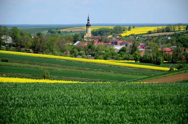 Sommerlandschaft Schlesien Polen — Stockfoto