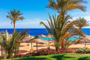 Şarm el Şeyh, Sina, Mısır, Asya yaz sıcak Kızıldeniz kıyısında palmiye ağaçları ile Güneşli tatil plaj. Parlak güneşli ışık