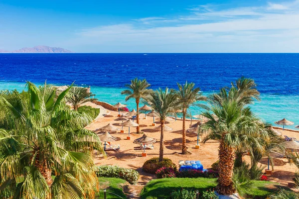 Sonniger Urlaubsstrand Mit Palmen Ufer Des Roten Meeres Sharm Sheikh — Stockfoto