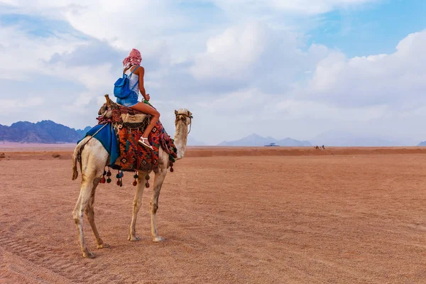Sina Çölü'nde deve ile geleneksel arap giysileri turist kadın, Şarm el Şeyh, Sina Yarımadası, Mısır.