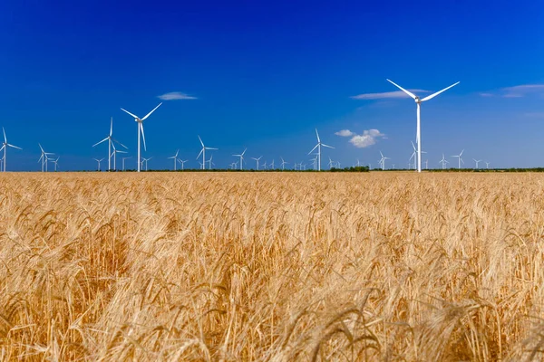 Wind Turbines Generating Electricity Field Eco Power Ecology Alternate Power — Stock Photo, Image