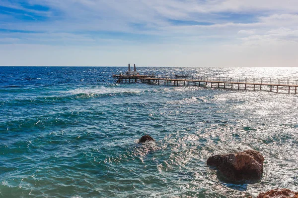 Sunny Resort Beach Palm Tree Coast Shore Red Sea Sharm — Stock Photo, Image