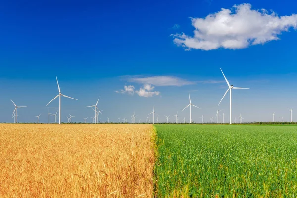 Turbinas Eólicas Que Geram Eletricidade Campo Eco Poder Ecologia Conceito — Fotografia de Stock