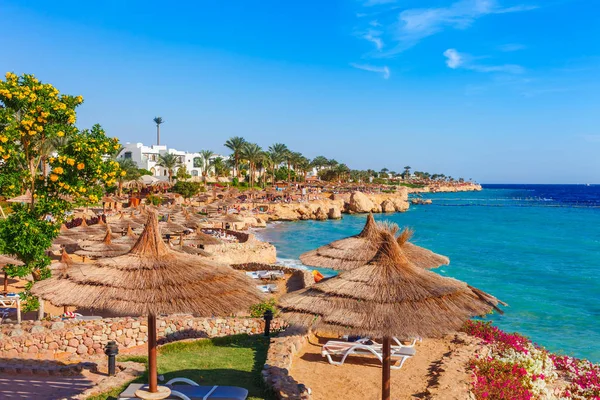 Sunny Resort Plaża Palmami Wybrzeżu Morza Czerwonego Sharm Sheikh Synaj — Zdjęcie stockowe