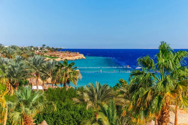 Sunny Resort Beach Palm Trees Coast Shore Red Sea Sharm — Stock Photo, Image