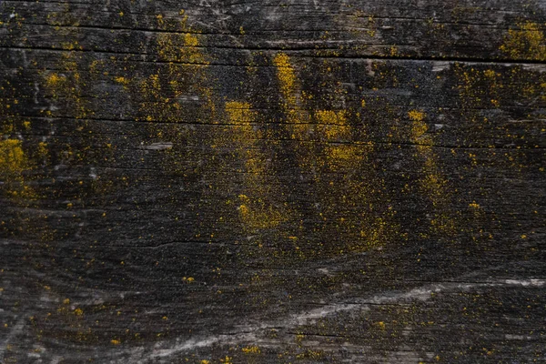 Textura Madera Negra Envejecida Con Manchas Hongos Amarillos — Foto de Stock