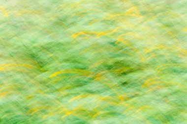 Kasıtlı kamera hareketiyle elde edilen sarı & yeşilin doğa renkleriyle bulanık arkaplan.