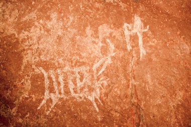 Bhimbetka 'nın tarihi yerindeki resimlerden biri. Buradaki kaya sığınakları ve mağaralarda çok sayıda resim var. En eski tabloların 10.000 yıllık olduğu ortaya çıktı..