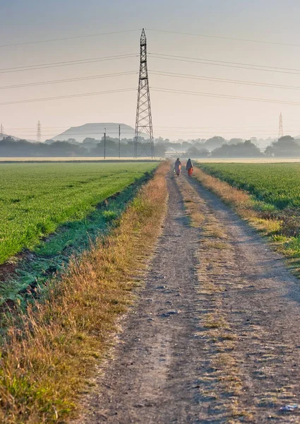 Живописный Вид Показывающий Электросеть Возле Поля Пшеницы Деревне Индии — стоковое фото