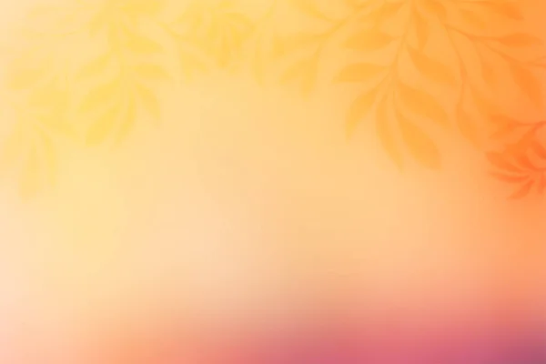 Золотисто Оранжевый Цвет Осенью Размытый Фон Мягким Впечатлением Листьев — стоковое фото