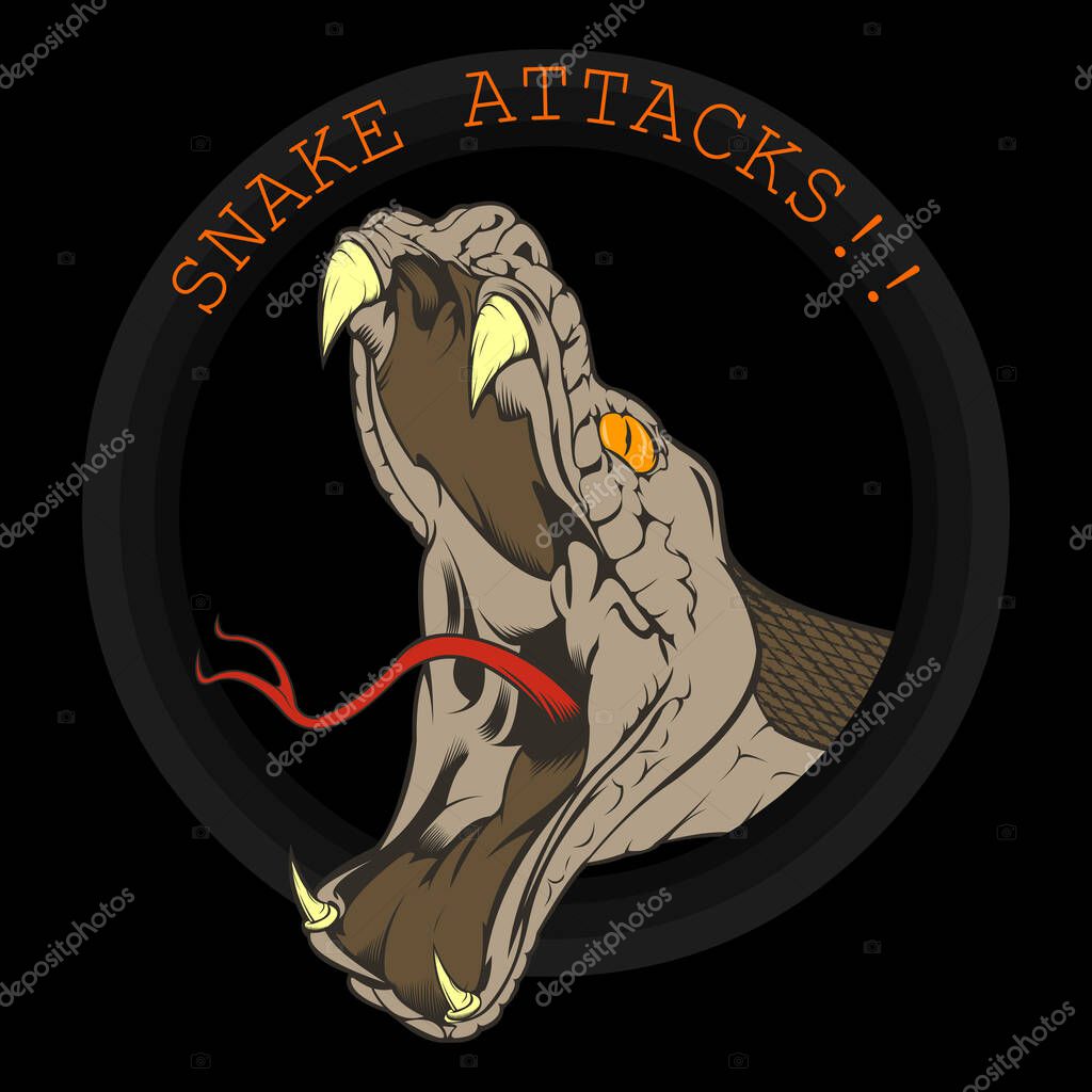 A Vector illustration of a snake's head ready to strike