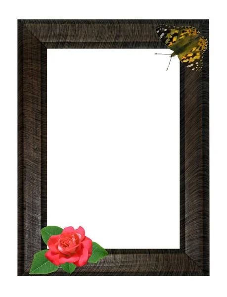 背景与玫瑰框架和蝴蝶为您的文本或照片 — 图库照片