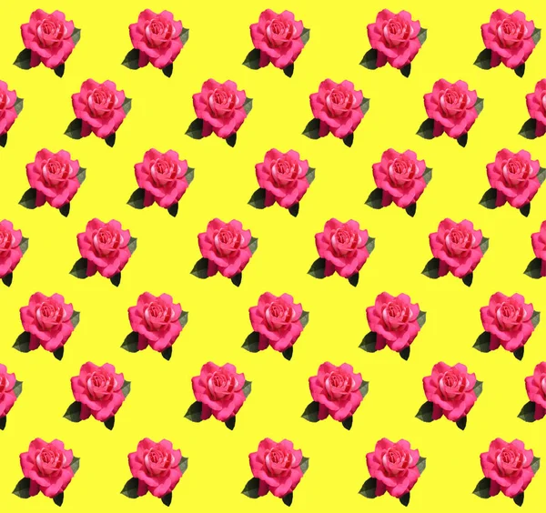 Papel Embalaje Decorativo Fondo Amarillo Con Rosas Rosadas Vivas — Foto de Stock