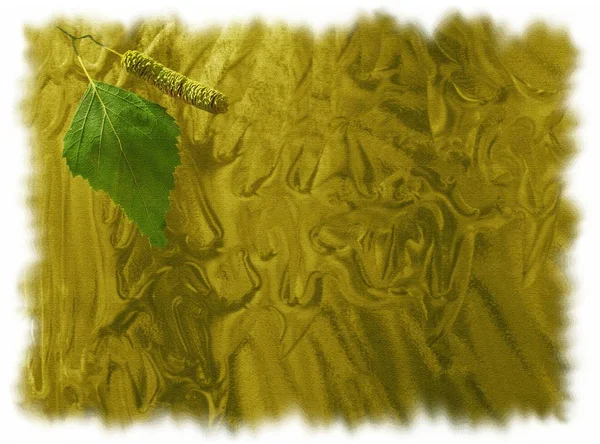  Doğal yeşil arka plan ile canlı sayfası bir kolaj dokulu huş ağacı, çiçeği ile.