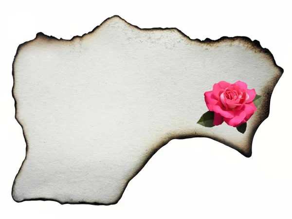 Ancient Parchment Candle Singed Edges White Structured Paper Flowers Rose — Stock Photo, Image