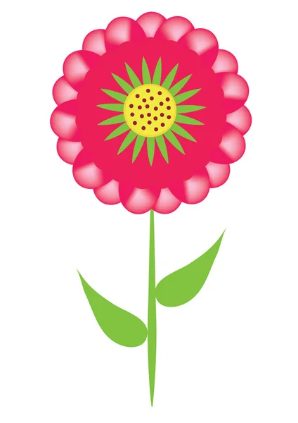 Aster Flor Roja Única Objeto Aislado Vector — Archivo Imágenes Vectoriales