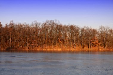 Donmuş göl orman düzeyi.