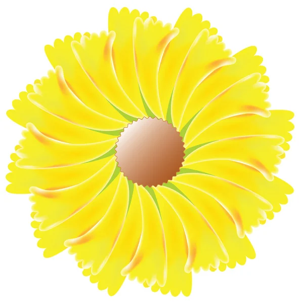 Żółty kwiat. — Wektor stockowy