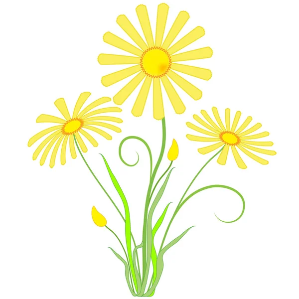 Gelbe Blüten. — Stockvektor