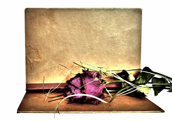 Γκραντζ Φόντο Μαραμένο Τριαντάφυλλα Πάνω Από Κατεστραμμένο Χαρτί Θέση Για — Φωτογραφία Αρχείου