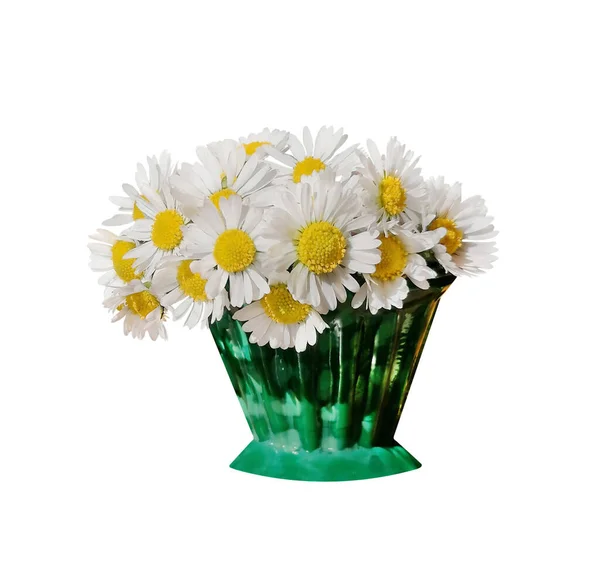 Live White Daisies Small Green Vase — Stock Photo, Image