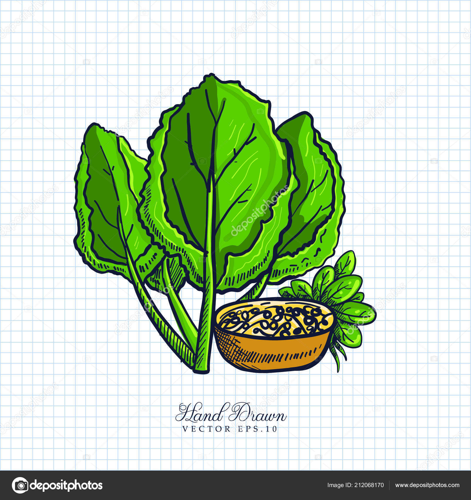 Hand Drawn Vector Kale Herbs Paper Background Sketch Illustration