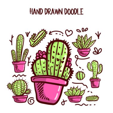 Kaktüsler ve Succulents parlak pembe ve yeşil renkte.