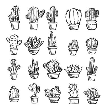 Cacti and Succulents isolated on white background clipart