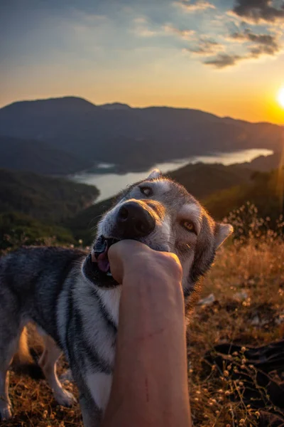 Wanderung Bei Sonnenuntergang Monte Serra — Stockfoto