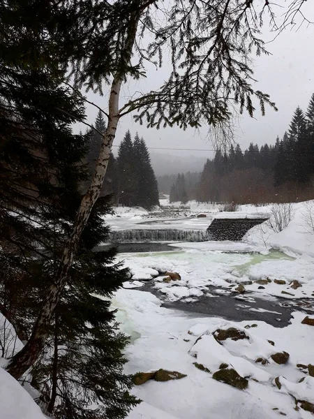 Ποταμός Winter Woods Spidleruv Mlyn — Φωτογραφία Αρχείου