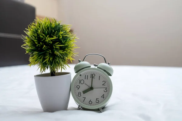 Relógio Alarme Vintage Pequena Árvore Decoração Vaso Branco Cama Quarto — Fotografia de Stock