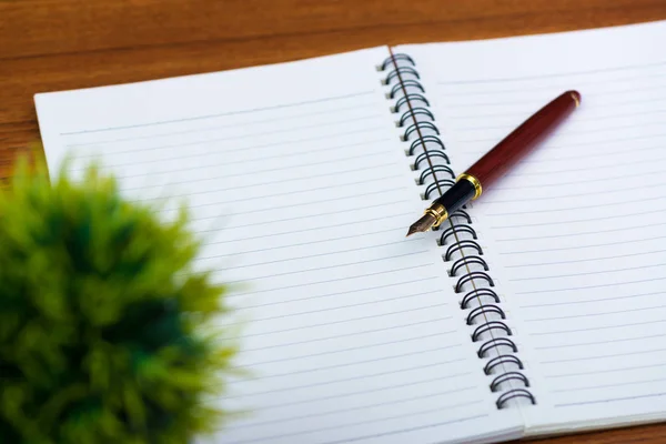 Pluma Estilográfica Pluma Tinta Con Papel Cuaderno Pequeño Árbol Decoración — Foto de Stock