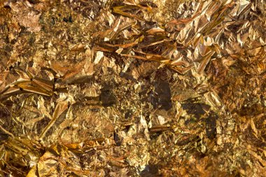 Parlak sarı altın yaprak veya artıklar altın folyo arka plan doku, arka of Buda resim yüzey.