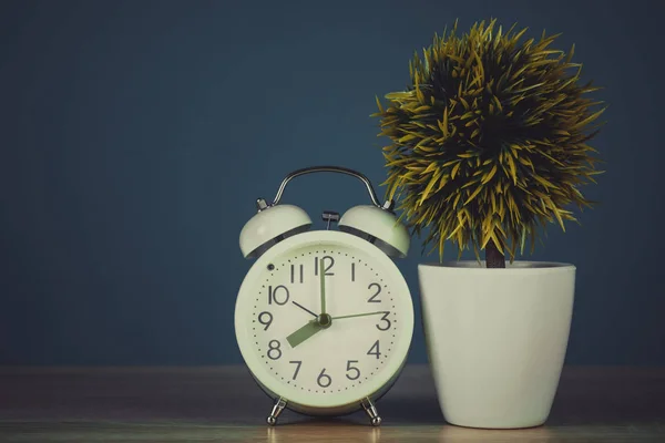 Kleine Decoratieve Boom Bloemboeket Witte Vaas Met Vintage Wekker Houten — Stockfoto