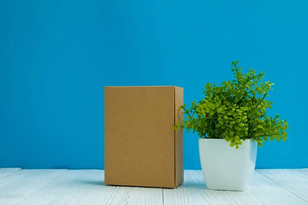 Paquete Vacío Caja Cartón Marrón Bandeja Pequeño Árbol Decoración Jarrón — Foto de Stock