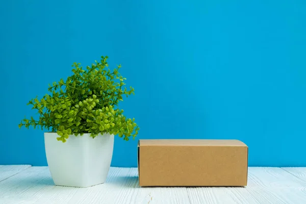 Paquete Vacío Caja Cartón Marrón Bandeja Pequeño Árbol Decoración Jarrón — Foto de Stock