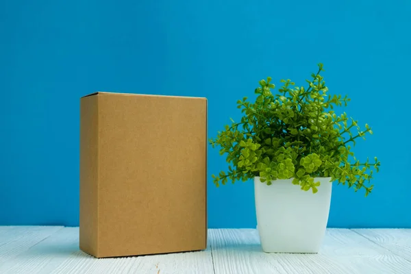 Pacote Vazio Caixa Papelão Marrom Bandeja Pequena Árvore Decoração Vaso — Fotografia de Stock