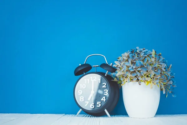 Pequena Árvore Decorativa Buquê Flores Vaso Branco Com Despertador Vintage — Fotografia de Stock