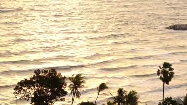 Морская Волна Океан Морской Пейзаж Пляж Живописный Таиланд Пальма Кокосовое — стоковое видео