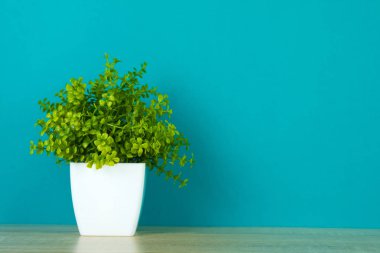 Küçük dekoratif ağaç ve çiçek buketi kopya alanı ile ahşap masa üzerinde beyaz cam aranjman. arka plan.