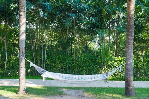 Empty white hammock hanging between two palm trees in garden with green field near the beach, relaxation concept.