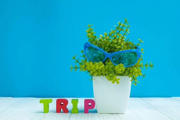 旅行信件文本和笔记纸和小装饰树在白色花瓶在木背景 旅行假期概念想法 — 图库照片