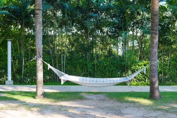 Empty white hammock hanging between two palm trees in garden with green field near the beach, relaxation concept.